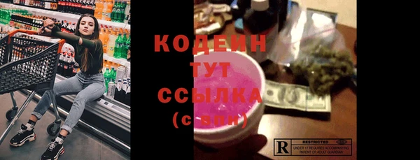 молекула духа Костерёво