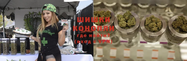 молекула духа Костерёво