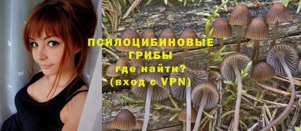 a pvp Кодинск