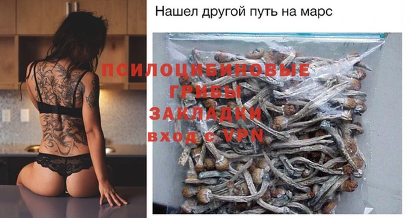 a pvp Кодинск