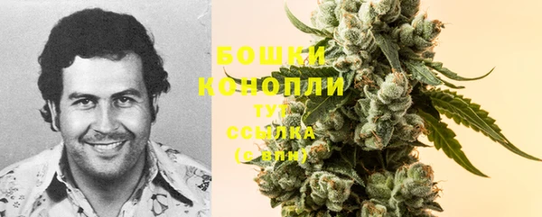 молекула духа Костерёво